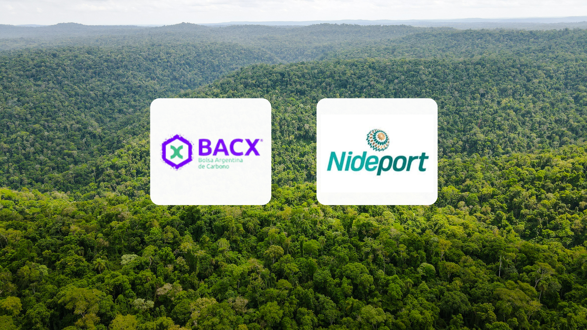 Imagen de portada para La Bolsa Argentina de Carbono comercializará los créditos de Nideport para Argentina